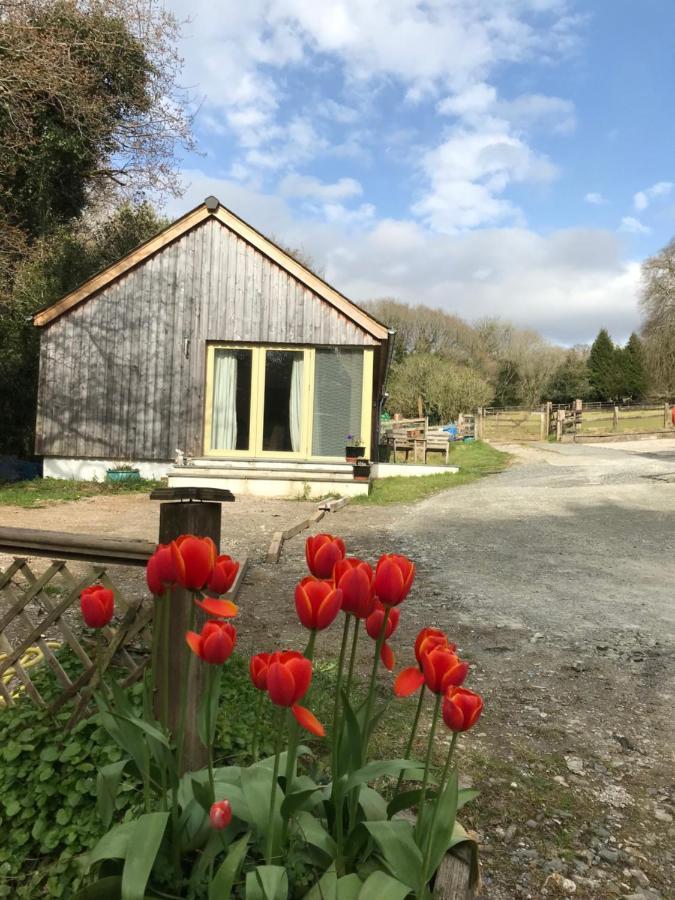 Oak Lodge Tavistock  Exterior photo